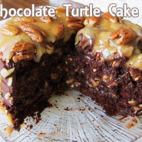 Easy Homemade Chocolate Turtle Cake