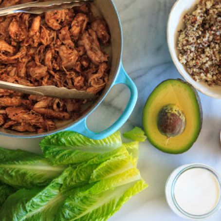 Easy Mexican Shredded Chicken