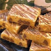 Peanut Butter and Milk Chocolate Chip Blondies