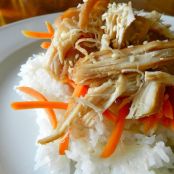 Slow Cooker Teriyaki Chicken