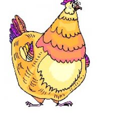 Ell Pollo Loco Chicken