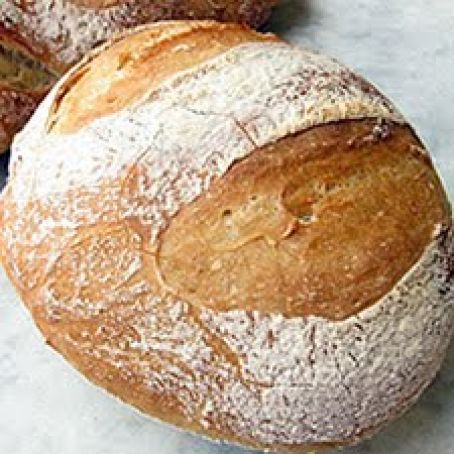 No-Knead Crusty White Bread