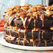 Turtle Cake - Cafe Latte