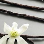 Vanilla Butter Frosting