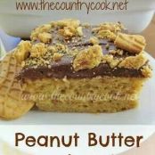 Peanut Butter Bomb Cake