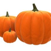 Priscilla's Pumpkin Pie Spice