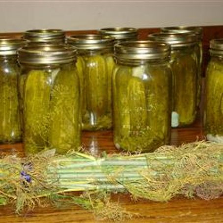 Kosher Dill Pickles