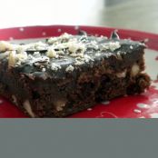 Fudge Brownies with Macadamia Nuts