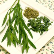 Tarragon Vinaigrette