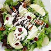 Honey Goat Cheese Dressing (Gina's Skinny)
