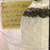 Makeover Ricotta Nut Torte