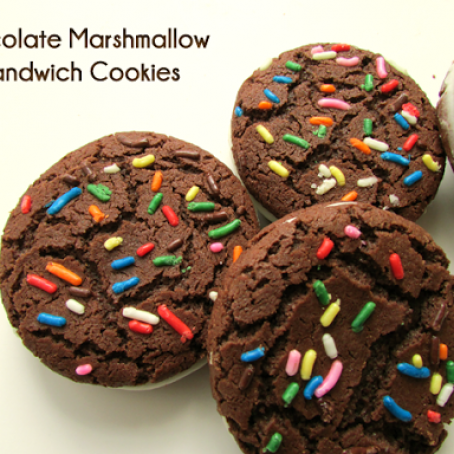 Chocolate Marshmallow Sandwich Cookies