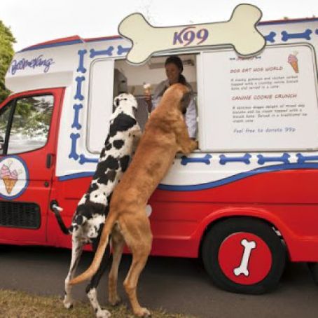 Frozen Peanut Butter Yogurt Doggie Treats- Homemade