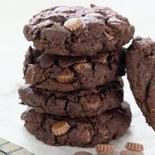 Chocolate Peanut Butter Cookies