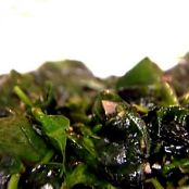 Garlic Sauteed Spinach