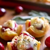 CHICKEN CRANBERRY BRIE TARTLETS