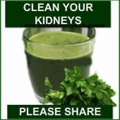 Clean Your Kidneys