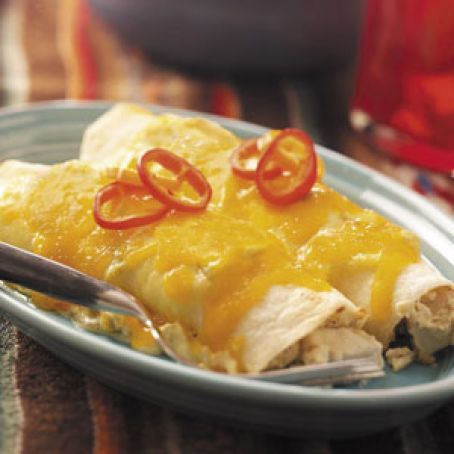 Creamy Chicken Enchiladas Recipe