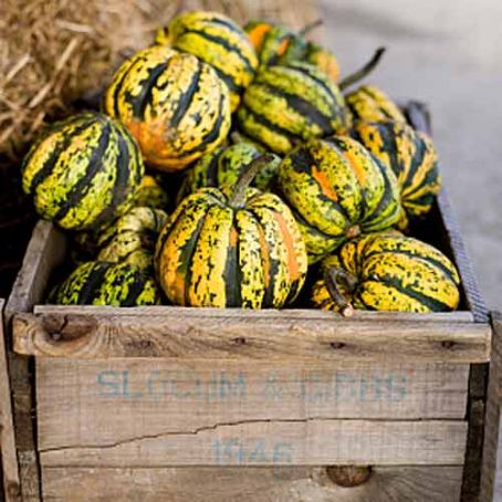 Stuffed Acorn Squash