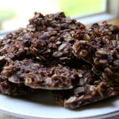 No Bake Chocolate Coconut Oatmeal Cookies