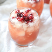 Cranberry Cider Punch