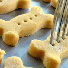 Cleo's Pumpkin Dog Biscuits