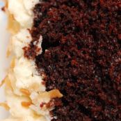 Dreamy Coconut-Chocolate Cake