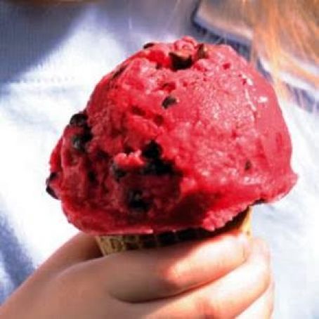 Raspberry-Chocolate Chip Frozen Yogurt