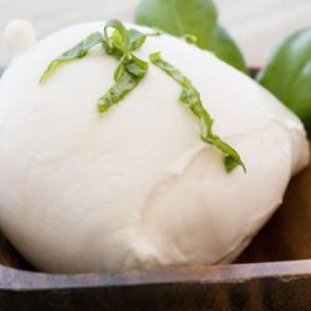 Homemade Mozzarella Recipe