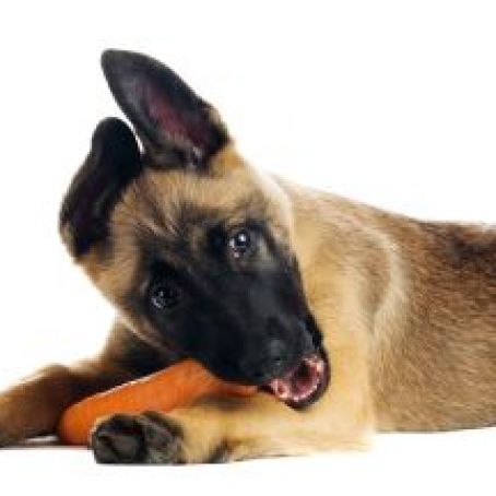 Fruit and Vegetable Strips for Dogs