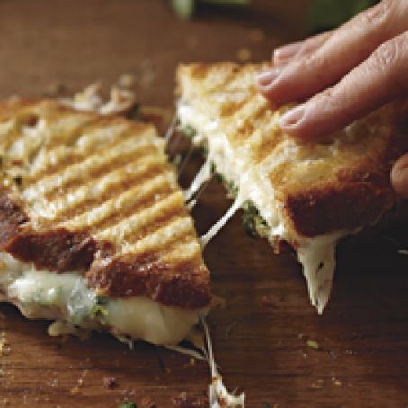 Monterey Jack Pesto Panini