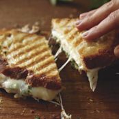 Monterey Jack Pesto Panini
