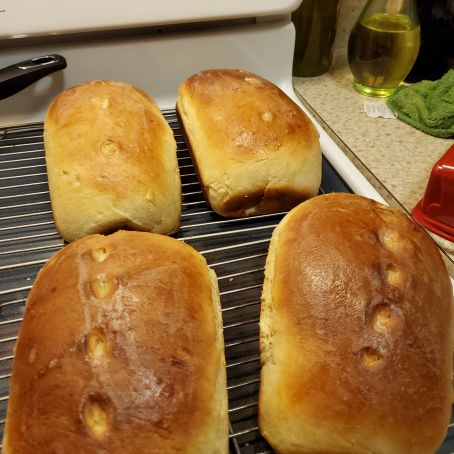 Tupperware Bread