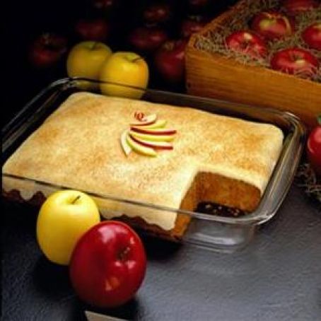 Apple Spice Custard Cake