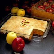 Apple Spice Custard Cake