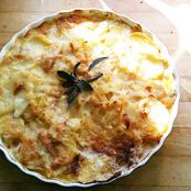 Red Hawk Potato Gratin