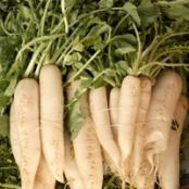 Pickled Cucumber and Daikon Salad