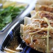 Yakigyoza - Pan Fried Dumplings