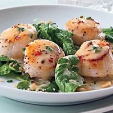 Seared Scallops with Pinot Gris Butter Sauce