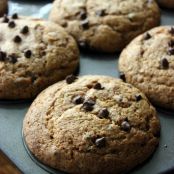 quickbread - Pumpkin Chocolate Chip Muffins