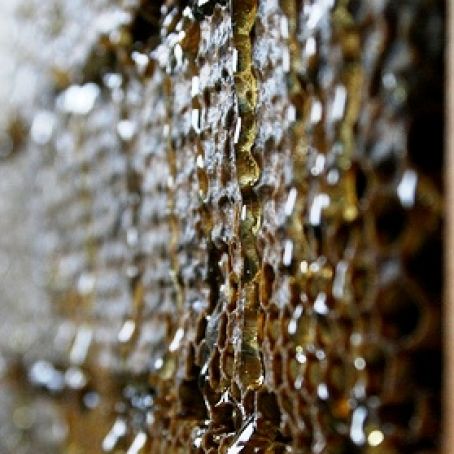 Malinese Sesame-Honey Sweet (easy)