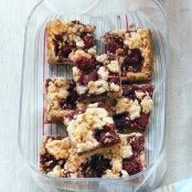 Oatmeal-Raspberry Bars