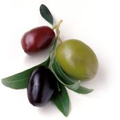 Olive Garden's Chicken Castellina