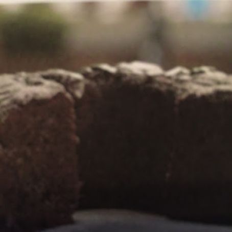 Too Much Chocolate Cake