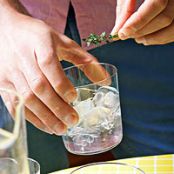 Thyme's-Up Cocktails