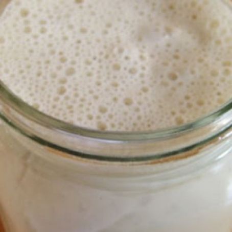 Sourdough Starter