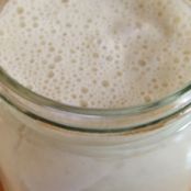 Sourdough Starter