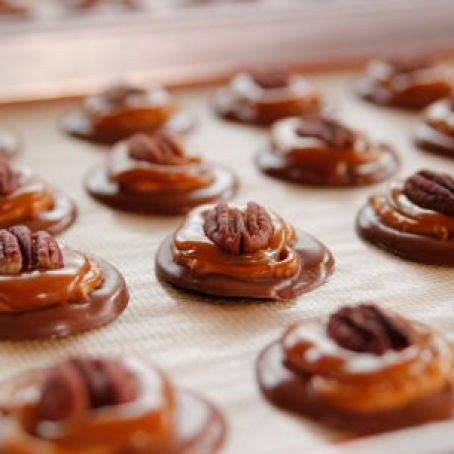 Pretzel Turtles