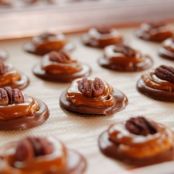 Pretzel Turtles