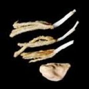 White Asparagus in Tempura with Soy Cloud